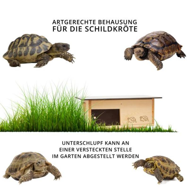 Woid Herz Premium Schildkrötenhaus (SH3) lasiert